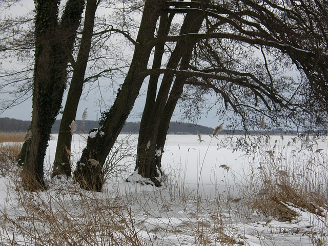 Foto do arquivo: fornecida por 【fortune for year of the rabbit】