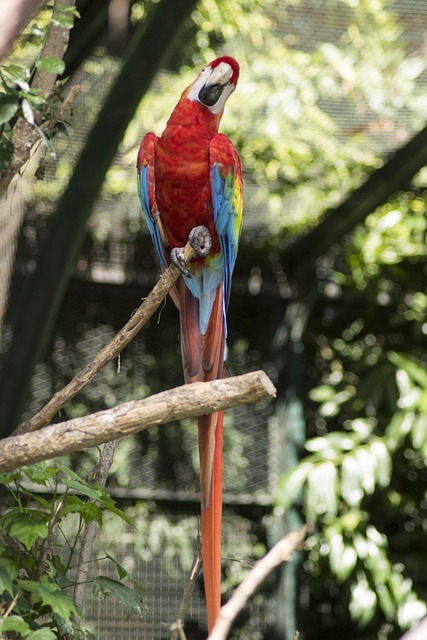 Foto do arquivo: fornecida por 【mega sena polemica】