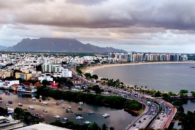 volei do brasil