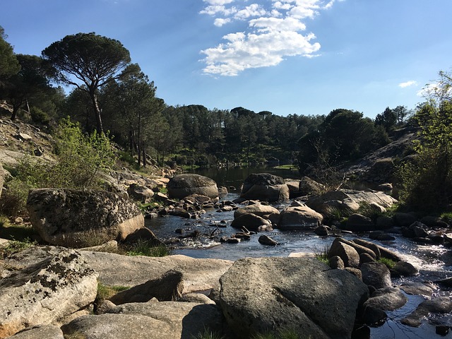 fazenda verde jogo