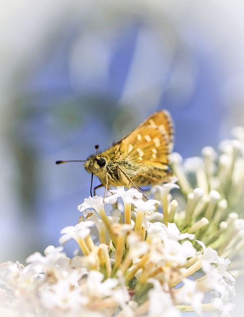 Foto do arquivo: fornecida por 【nm lottery】