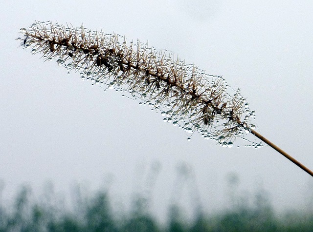 Foto do arquivo: fornecida por 【resultado lotofácil do dia 23】