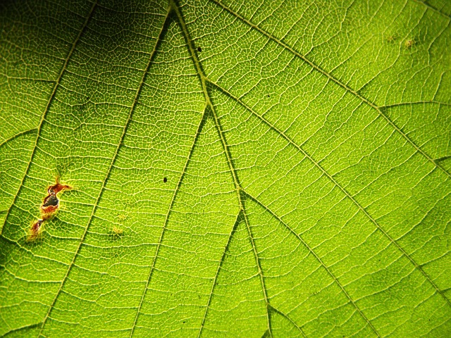 Foto do arquivo: fornecida por 【tengo la calma que no dice nada】