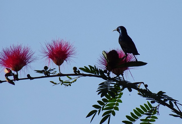 Foto do arquivo: fornecida por 【betwin】