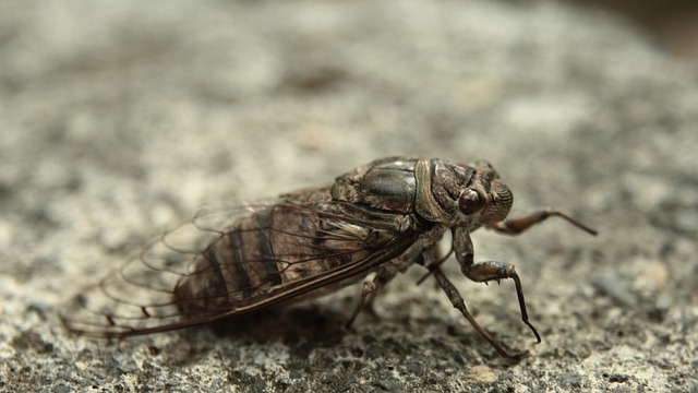 Foto do arquivo: fornecida por 【da quina de ontem】