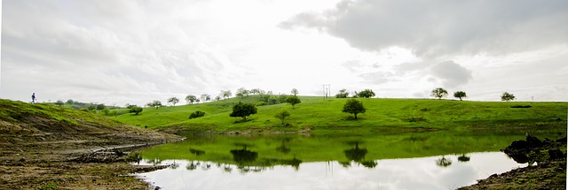 Foto do arquivo: fornecida por 【cadoola】