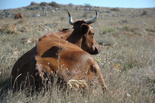 Foto do arquivo: fornecida por 【forzza bet365】