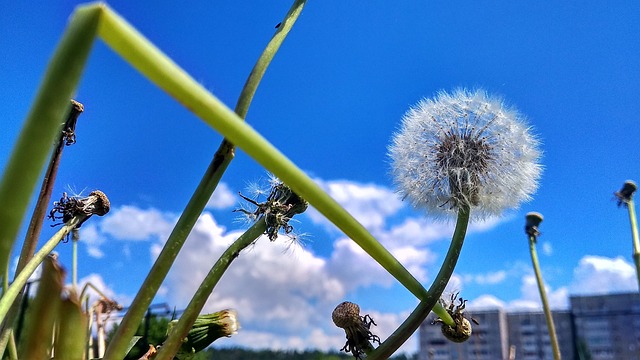 Foto do arquivo: fornecida por 【resultado mega sena dia 4 de fevereiro】