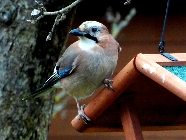 Foto do arquivo: fornecida por 【cinco números que menos saem na lotofácil】