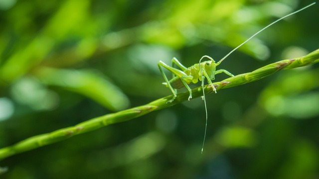 Foto do arquivo: fornecida por 【pika68 slot】