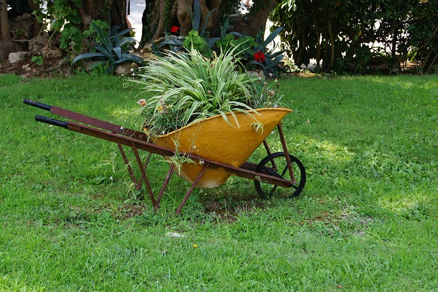 Foto do arquivo: fornecida por 【quanto tá para jogar na lotofácil】