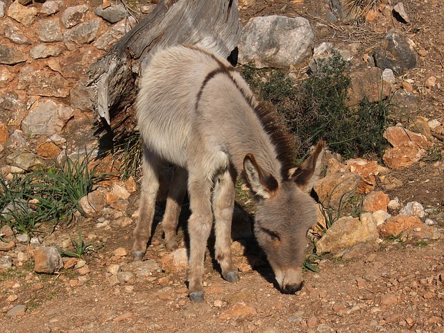 Foto do arquivo: fornecida por 【slot website】