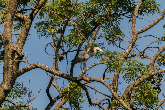 Foto do arquivo: fornecida por 【www loterias da caixa com br,www resultado loterias caixa com br】