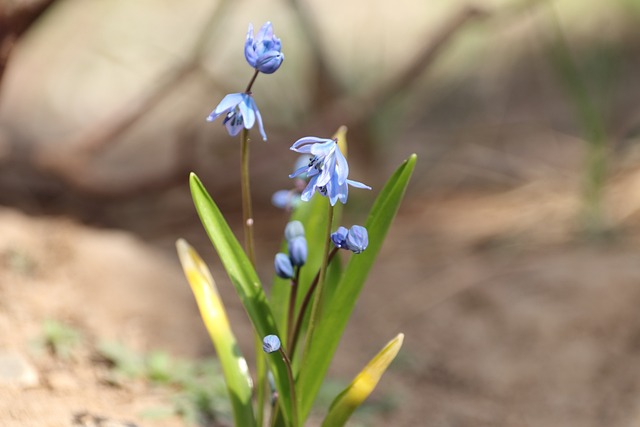 Foto do arquivo: fornecida por 【slot】