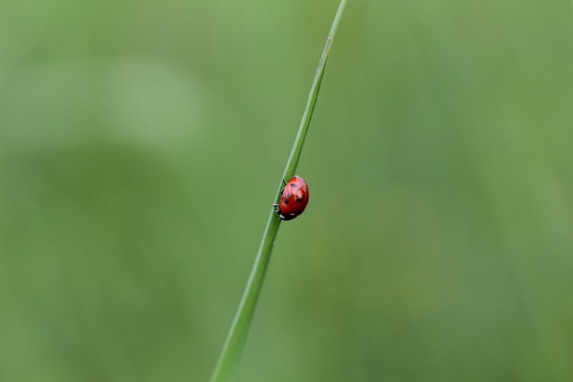 pousada bicho do mar—— avaliações