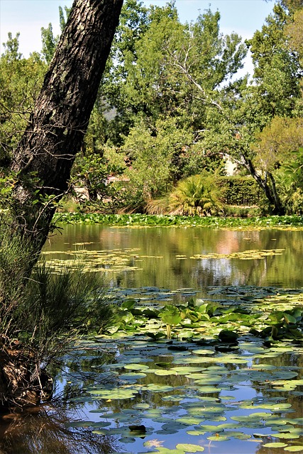 Foto do arquivo: fornecida por 【link de plataforma nova pagando】