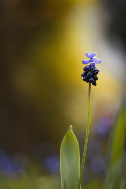 Foto do arquivo: fornecida por 【lucky time slots】