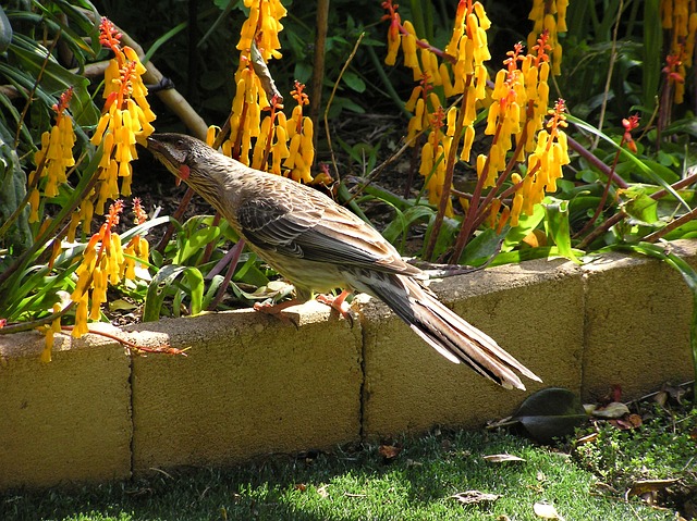 Foto do arquivo: fornecida por 【bet365 pp】