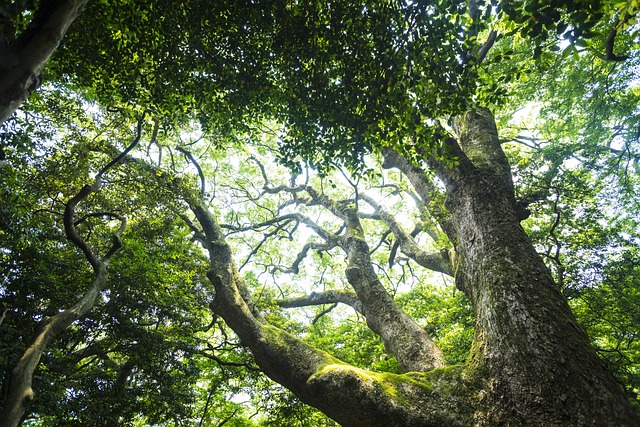 Foto do arquivo: fornecida por 【teve ganhador na mega sena de ontem】