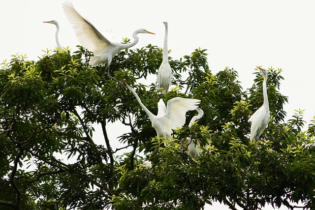 Foto do arquivo: fornecida por 【resultado da loteria federal 06 05】