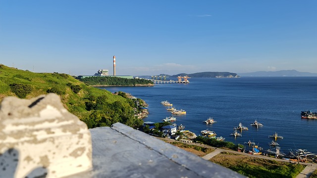 palmeiras x botafogo ao vivo