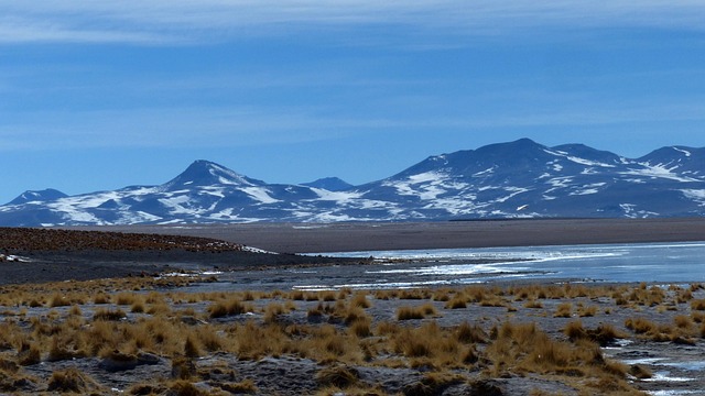 caixa loterias mega、 virada