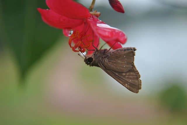 Foto do arquivo: fornecida por 【raspadinhas da loteria】