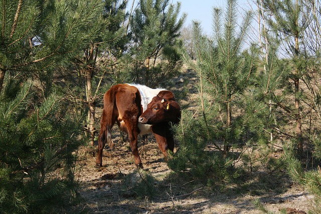 Foto do arquivo: fornecida por 【bet365 pix】