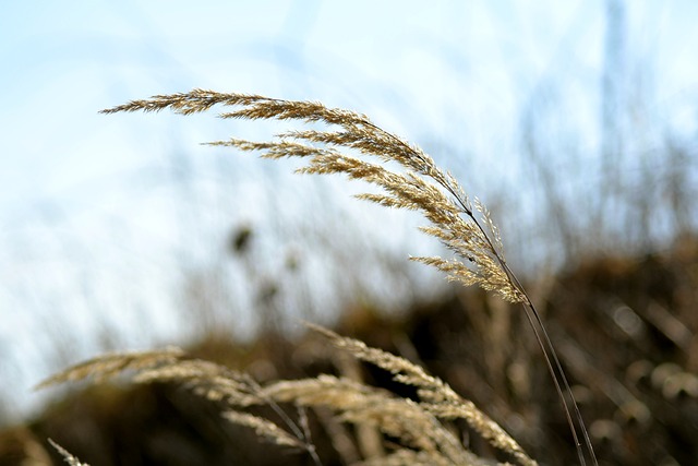 Foto do arquivo: fornecida por 【loterias caixa lotofácil】