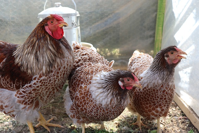 Foto do arquivo: fornecida por 【mega sena paga quina quadra e terno】