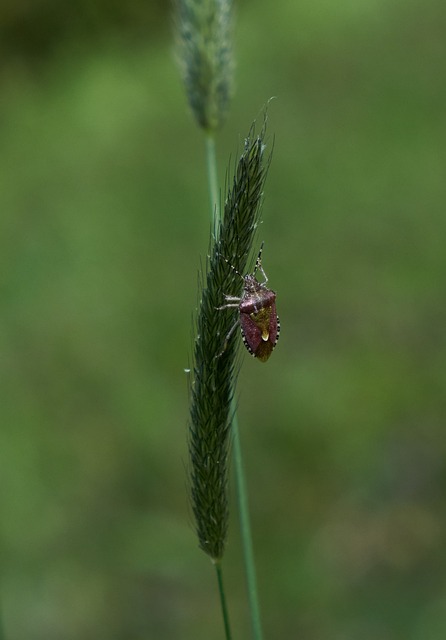 Foto do arquivo: fornecida por 【resultado lotofácil 1195】