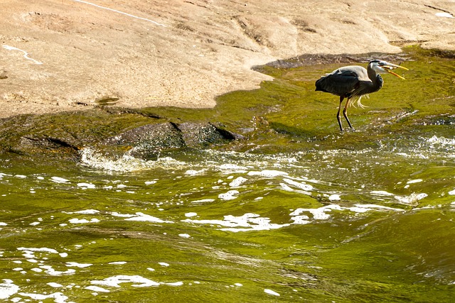 Foto do arquivo: fornecida por 【duplas mega sena】