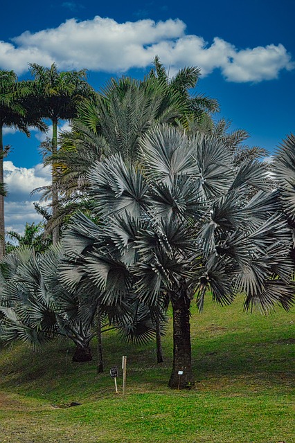 Foto do arquivo: fornecida por 【ganhar um pix agora】