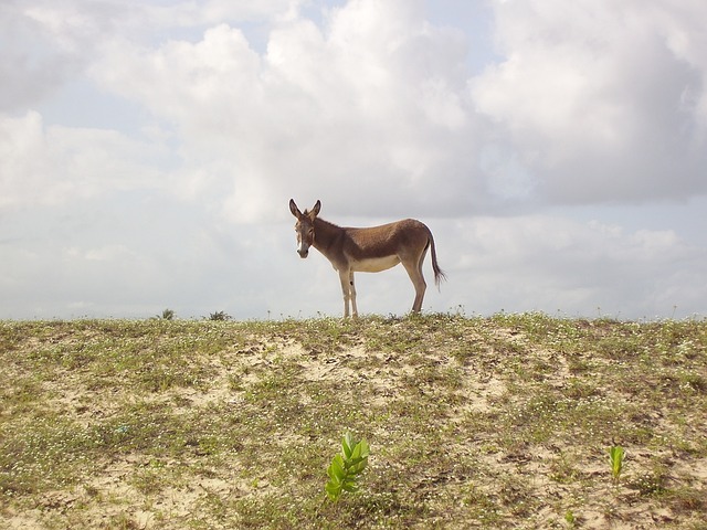 Foto do arquivo: fornecida por 【a mega sena de sábado agora】