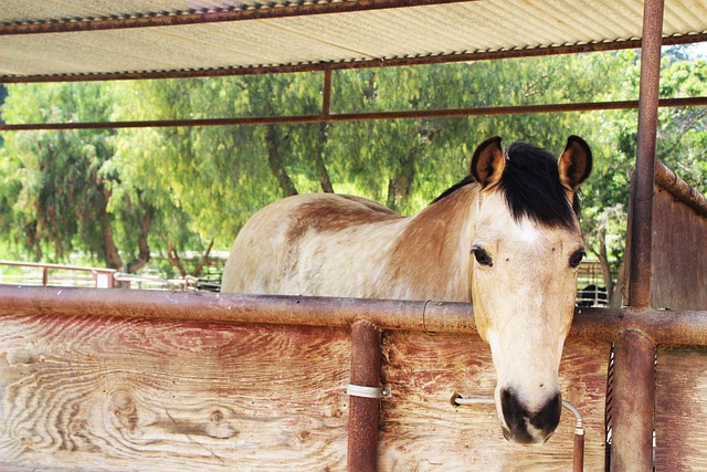 Foto do arquivo: fornecida por 【bet365 aposta】