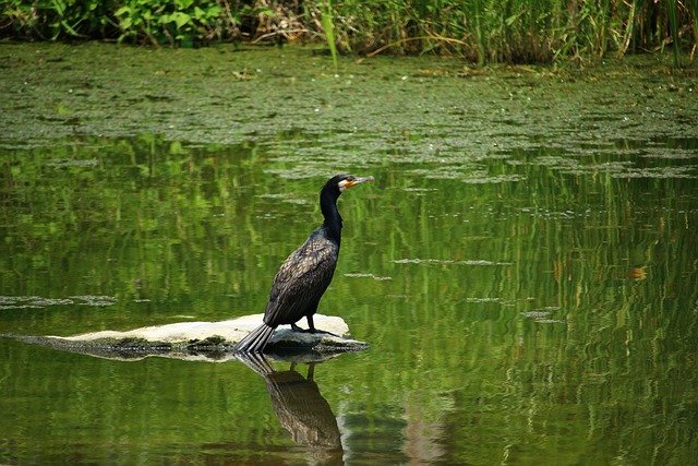 Foto do arquivo: fornecida por 【Plataforma para fazer dinheiro】