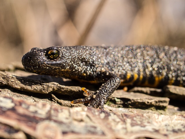 Foto do arquivo: fornecida por 【22 pg slot】