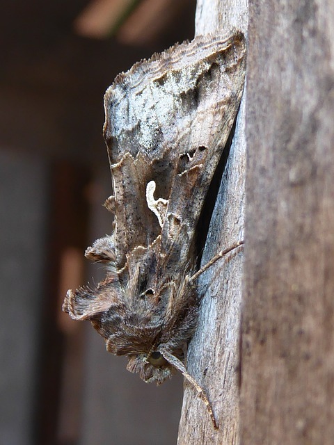 Foto do arquivo: fornecida por 【caica loteria】