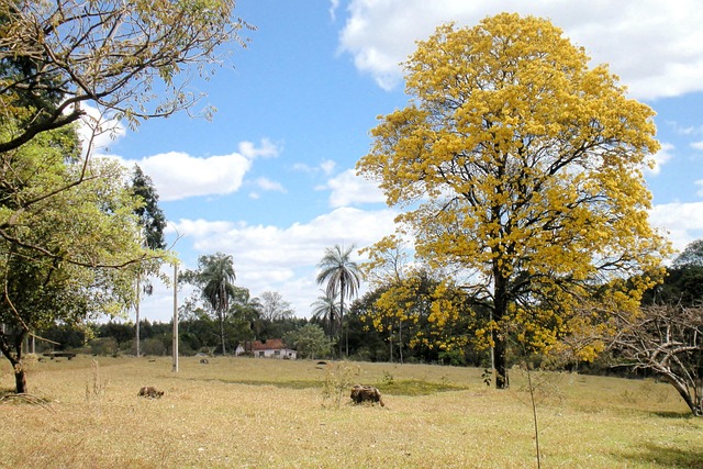 Foto do arquivo: fornecida por 【quem vai sair do bbb amanhã】