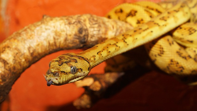 Foto do arquivo: fornecida por 【brabet bônus de cadastro】