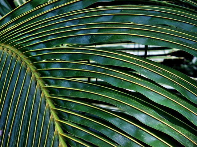 Foto do arquivo: fornecida por 【sorteio de hoje quina】