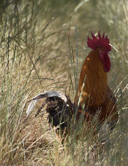 Foto do arquivo: fornecida por 【resultado da mega sena 1611】