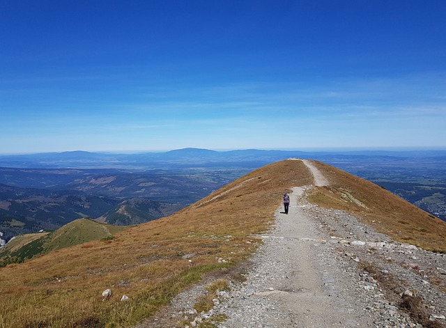 Partidas da série previstas para hoje