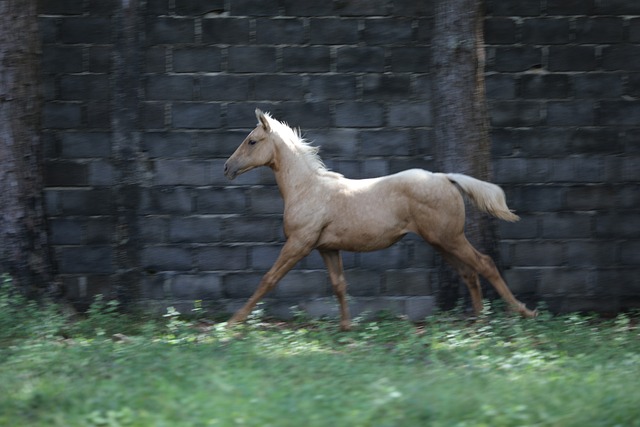 Foto do arquivo: fornecida por 【casino betano】