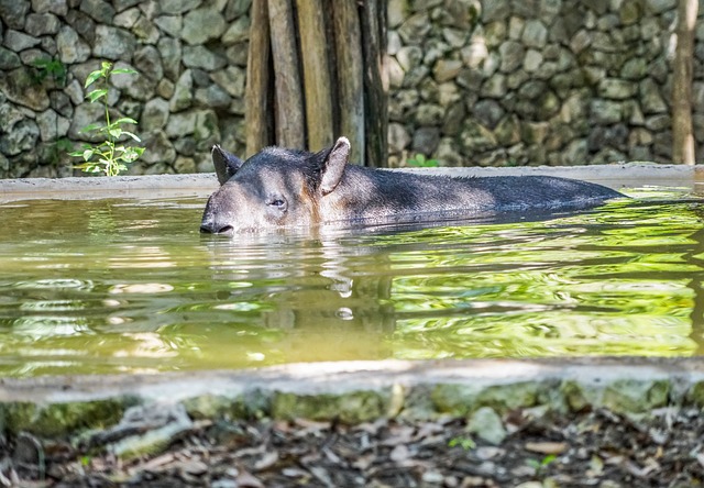 Foto do arquivo: fornecida por 【número sorteado da lotofácil hoje】