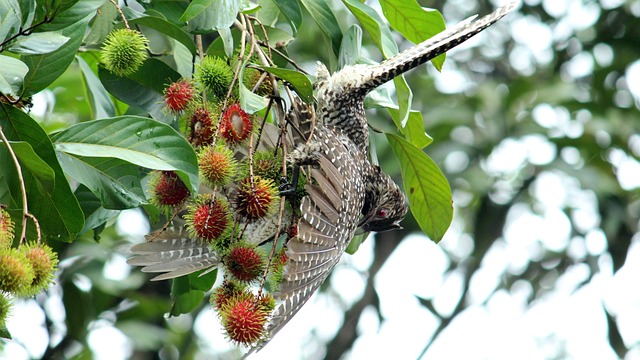 Foto do arquivo: fornecida por 【resultado da mega sena de sabado】