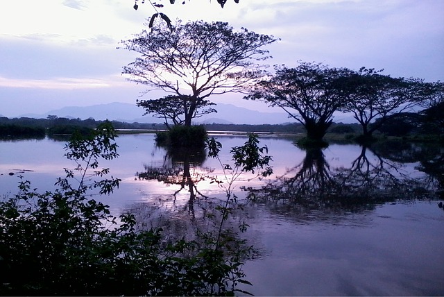 Foto do arquivo: fornecida por 【cassino veneza】