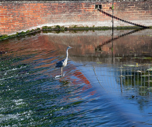 Foto do arquivo: fornecida por 【campinho de areia bicho】