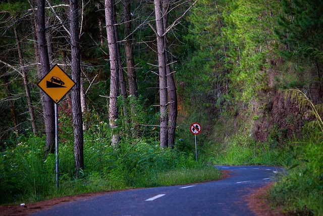 jogo jogo de carro com volante