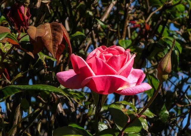 Foto do arquivo: fornecida por 【resultado lotofácil 2256 ganhadores】